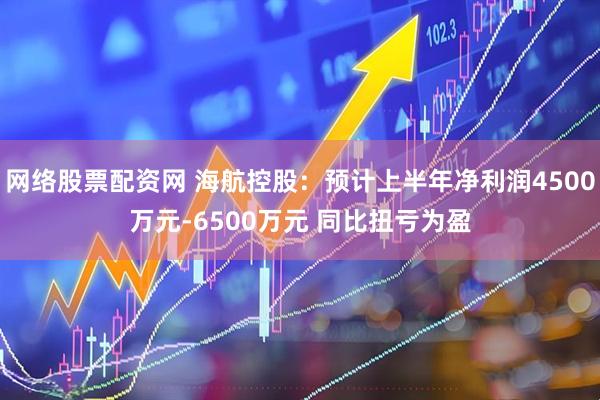 网络股票配资网 海航控股：预计上半年净利润4500万元-6500万元 同比扭亏为盈